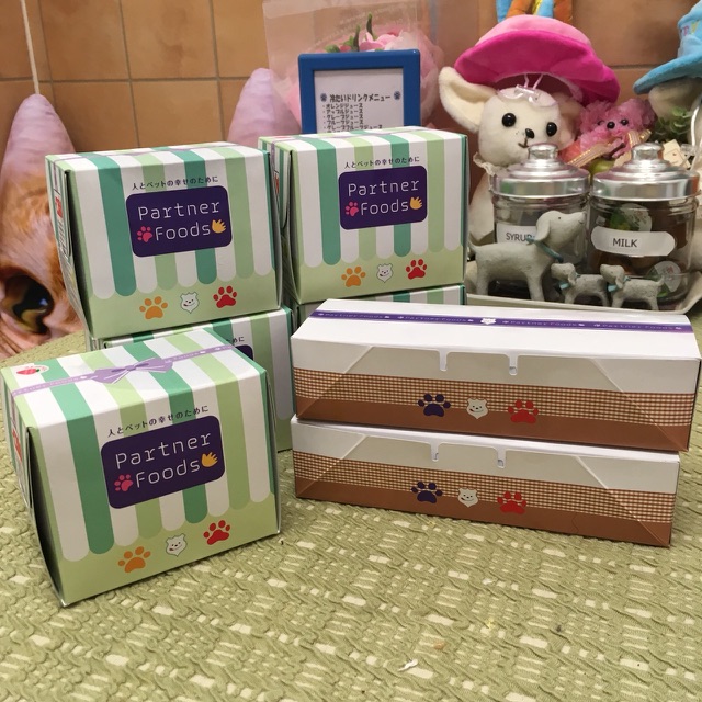 ちゃこちゃん💕のお誕生日はとっても大盛り上がりでした😃